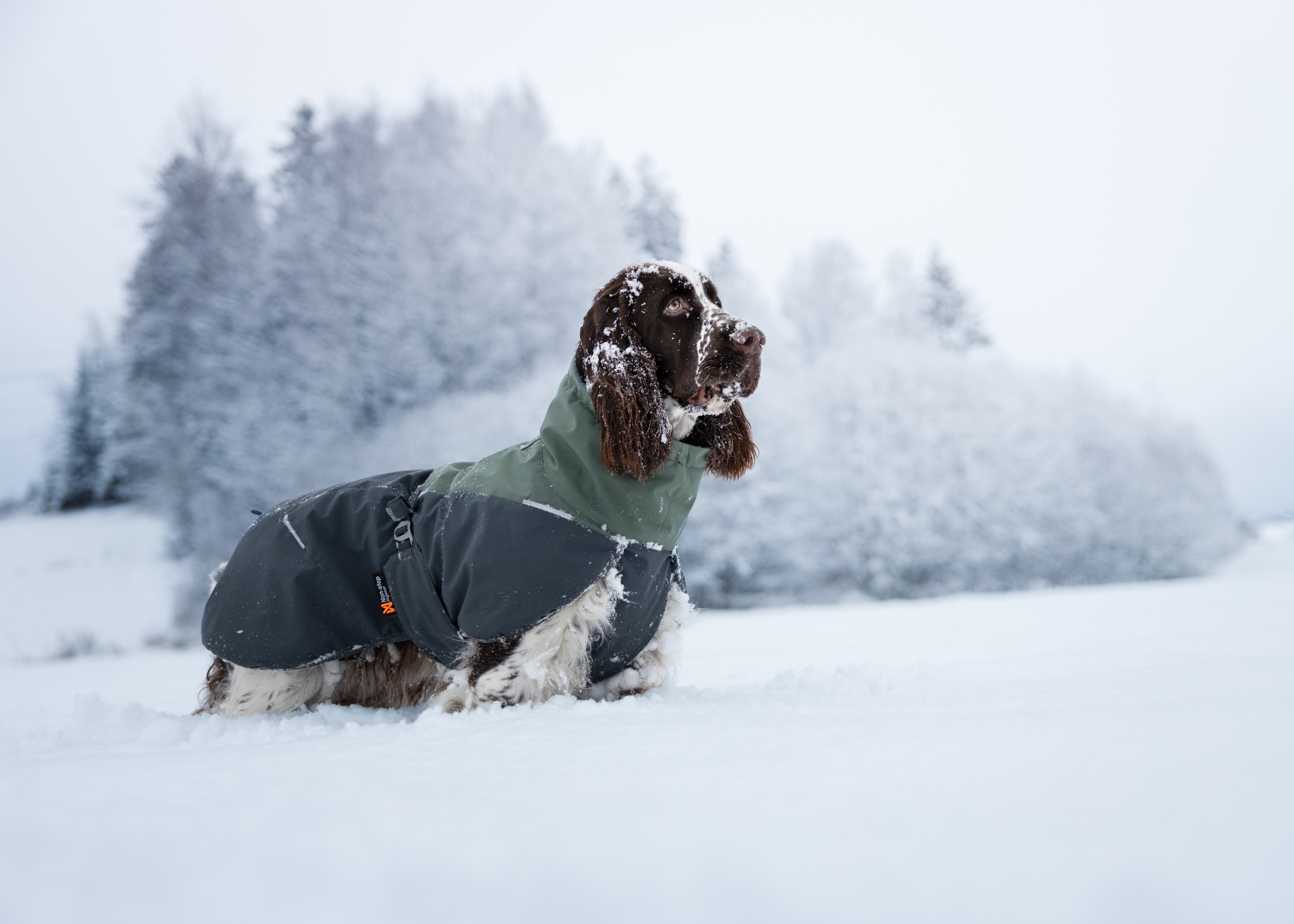 Non-Stop Dogwear Glacier Wool Jacket 2.0 - Grün/Grau, 90 - 10
