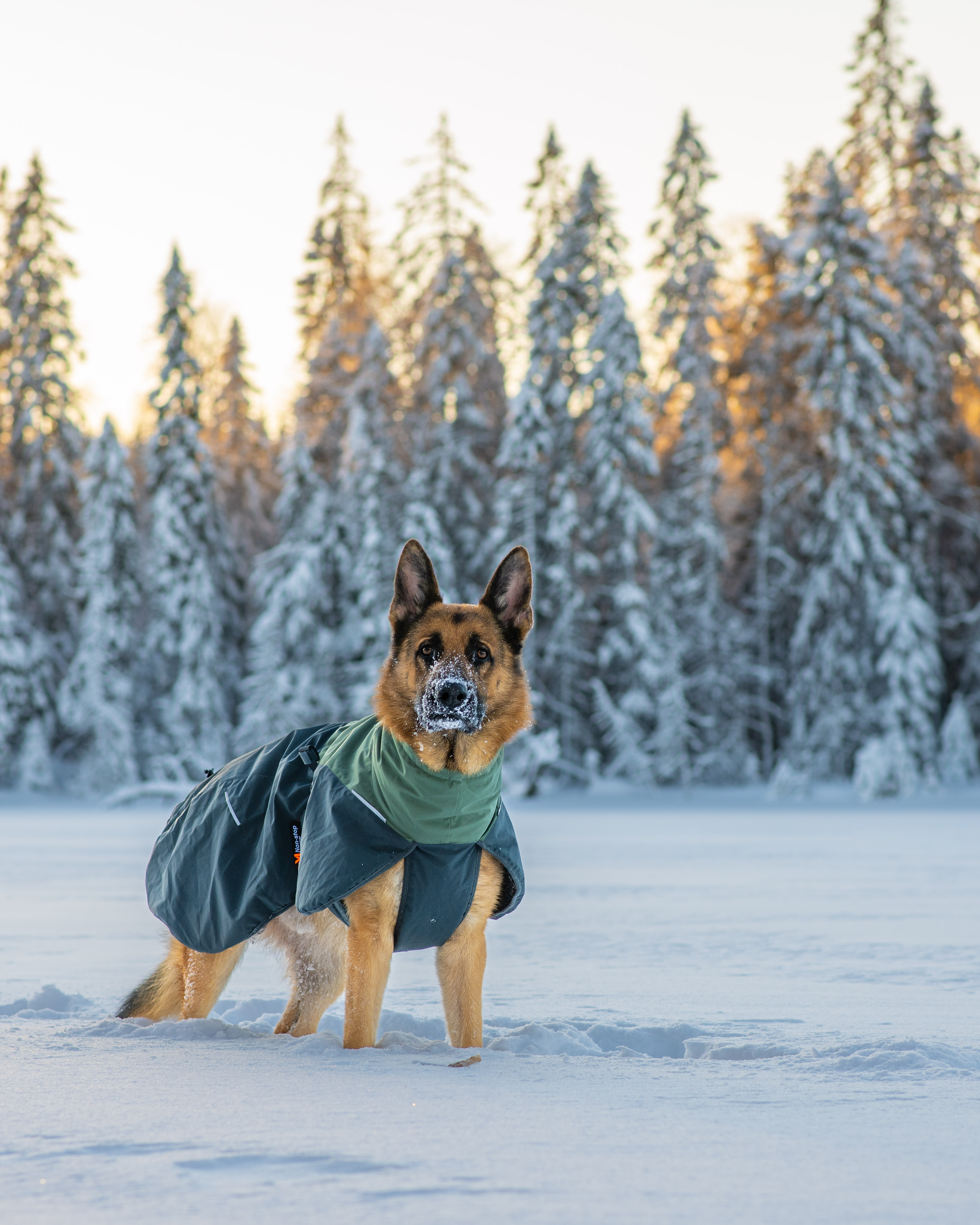 Non-Stop Dogwear Glacier Wool Jacket 2.0 - Grün/Grau, 90 - 8