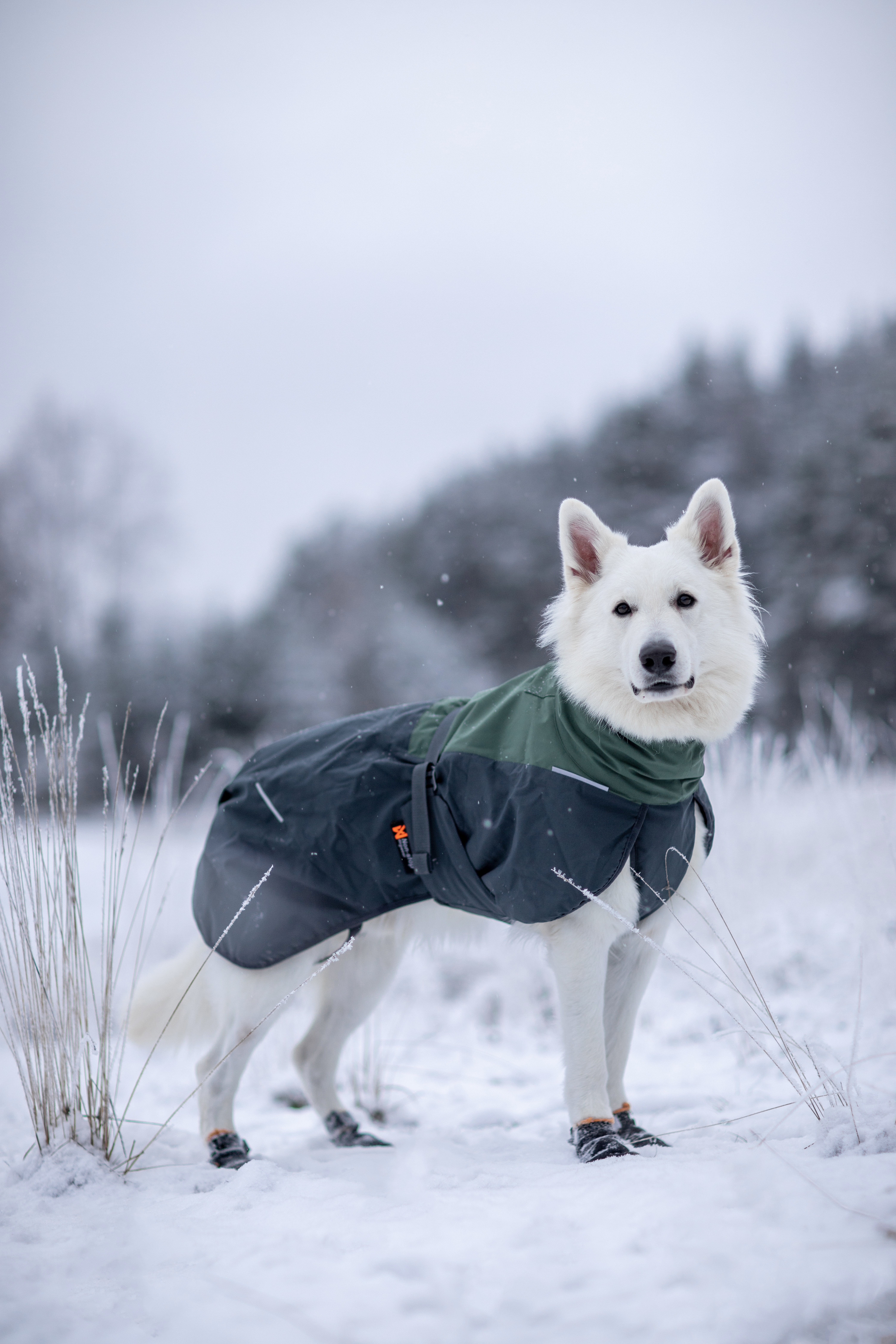 Non-Stop Dogwear Glacier Wool Jacket 2.0 - Grün/Grau, 90 - 2