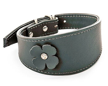 Martin Sellier Clover Whippet Leather Collar - Gray, 40 - only this copy