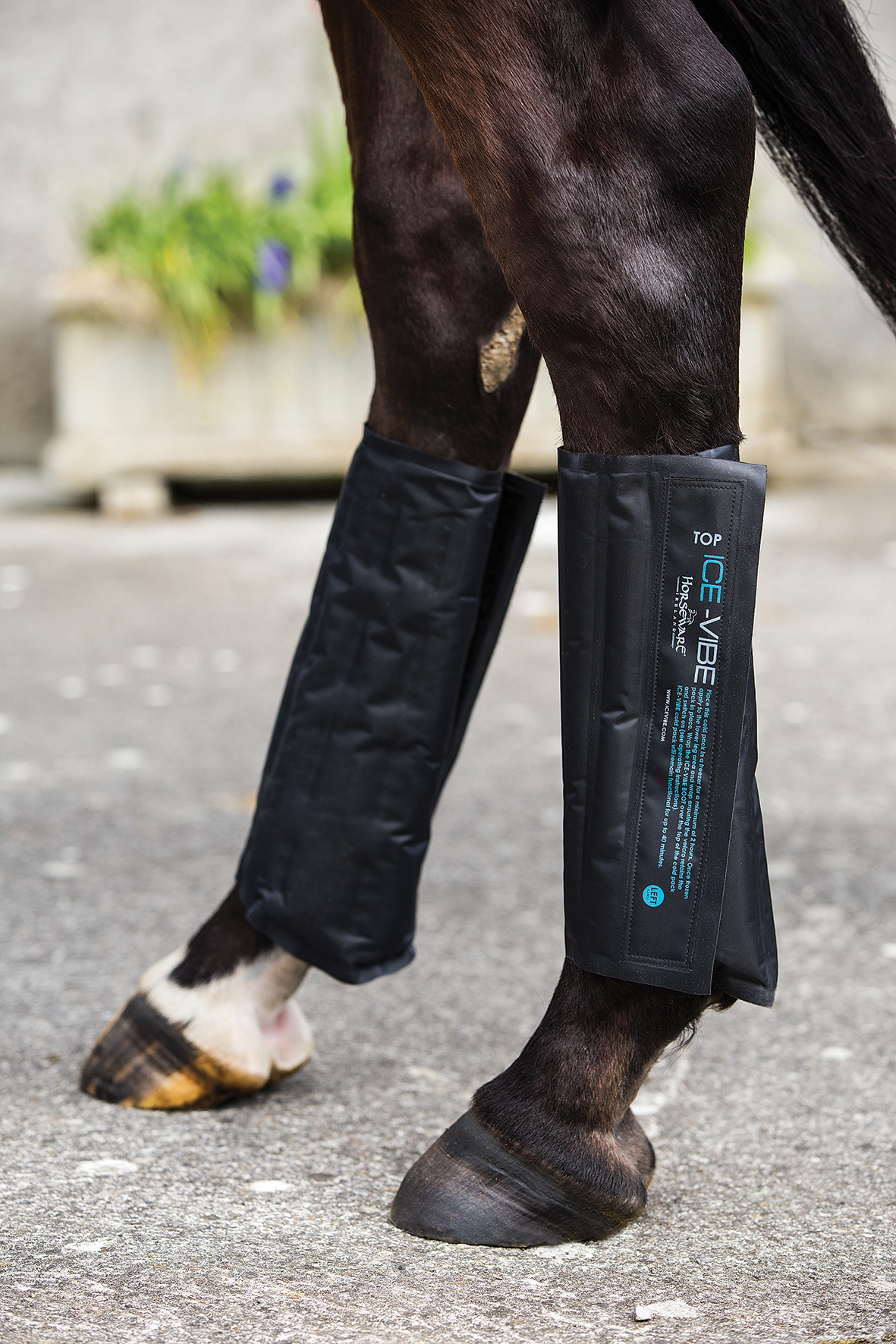 Horseware Ice-Vibe Cold Packs 