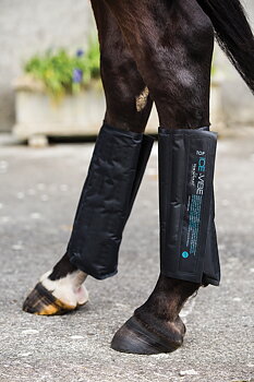 Horseware Ice-Vibe Cold Packs 