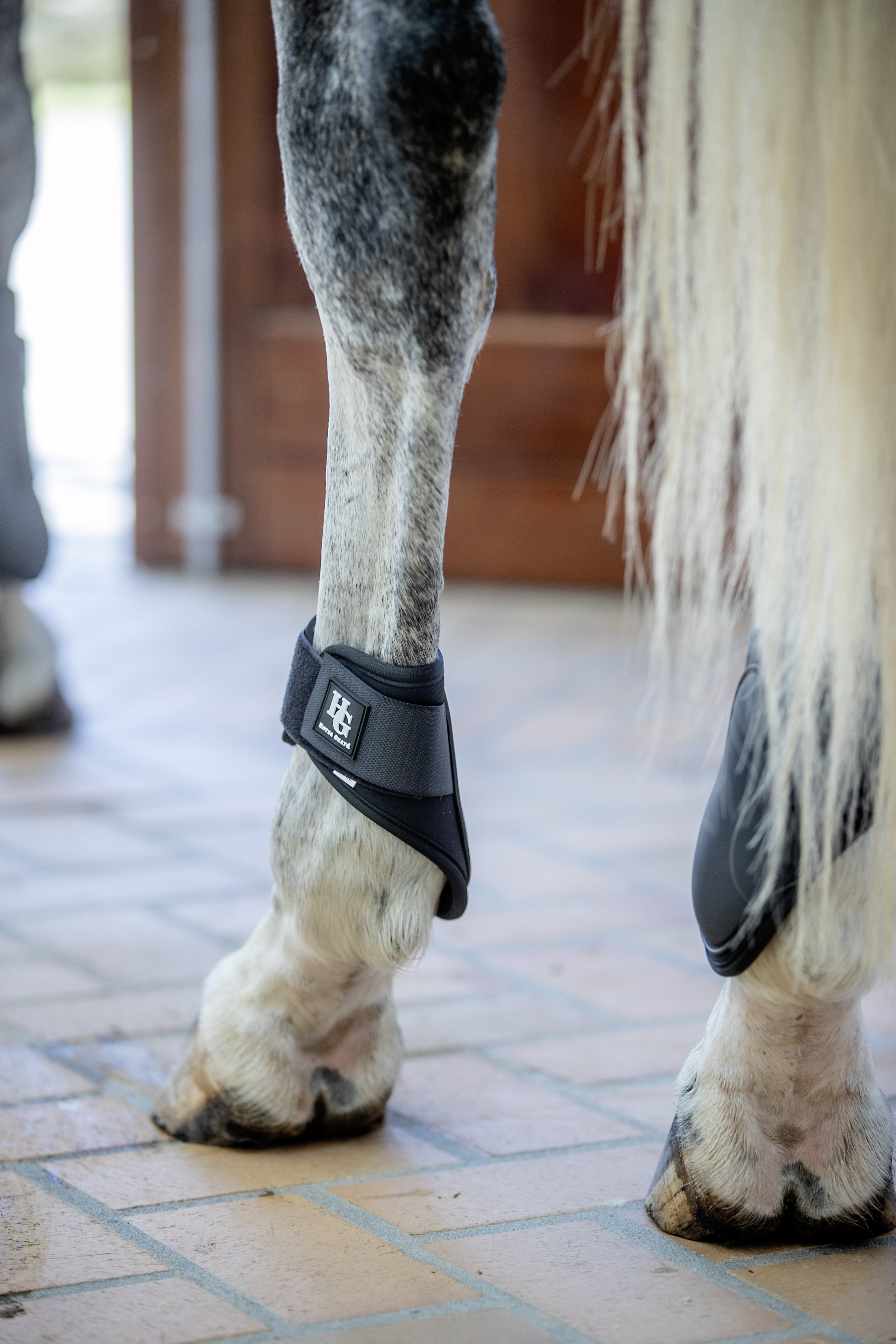 HorseGuard Tary Benskydd - Svart (SHETLAND)