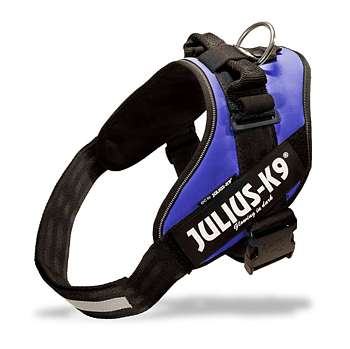 Julius-K9 IDC® ‑valjaat koiralle – sininen, 2