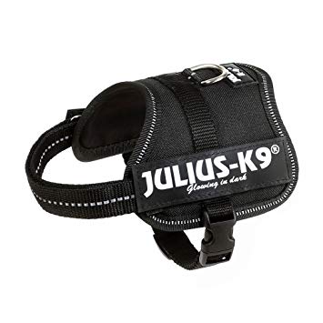 Julius-K9 IDC® Harness Puppy - Black, Baby1 - 2