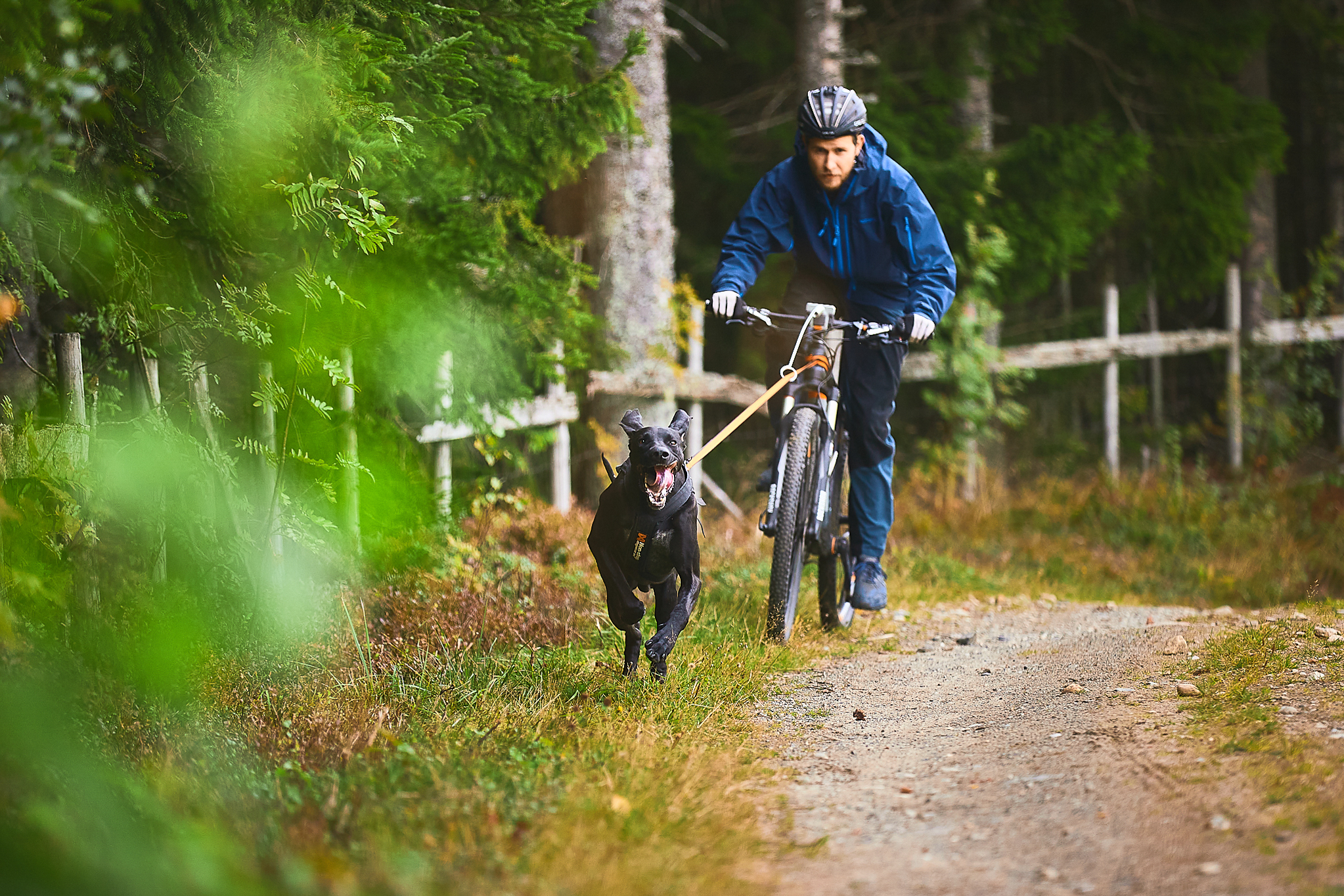 Non-Stop Dogwear Bike Antenna Klickfix 