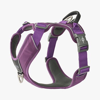 Dog Copenhagen Comfort Walk Pro Sele - Purple Passion 