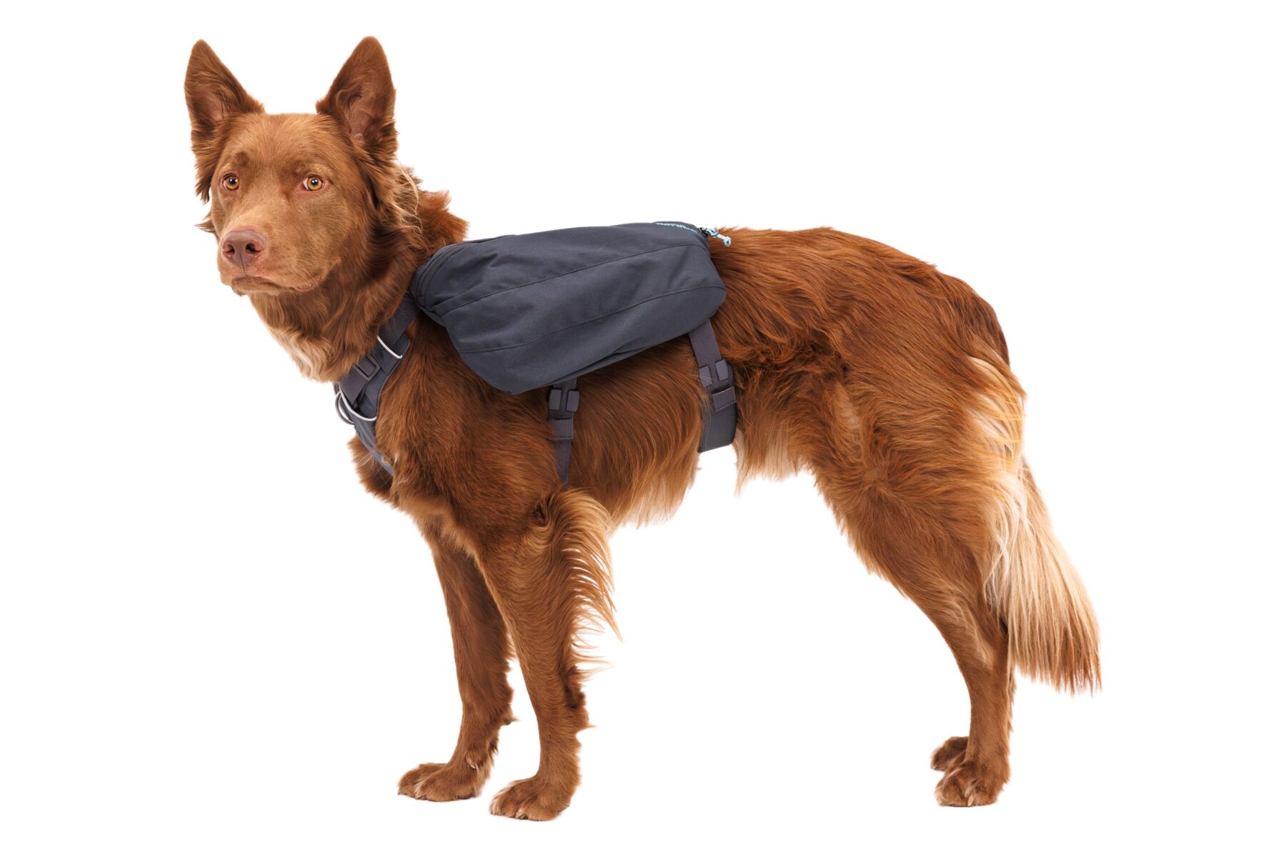 Ruffwear Front Range Day Pack Basalt Gray PETSTER Norge