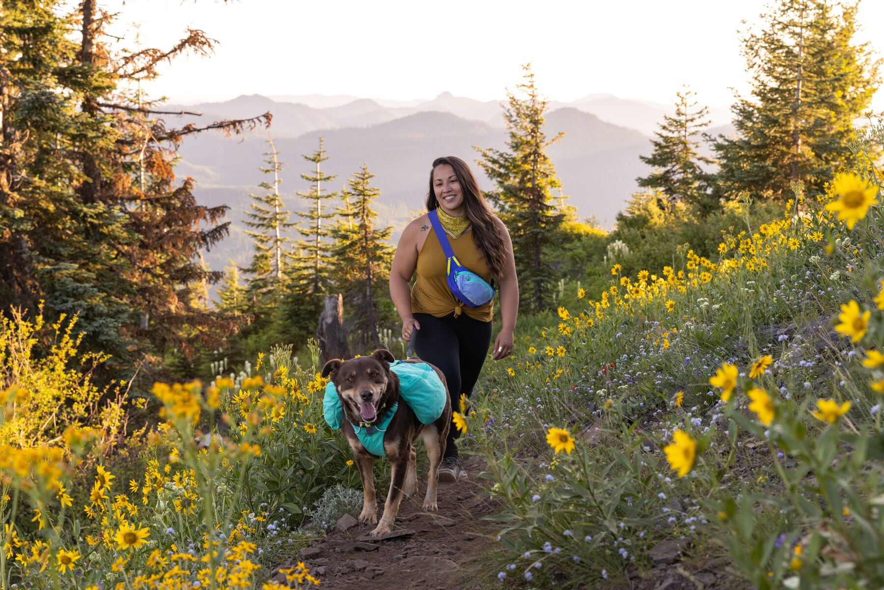 Ruffwear Front Range™ Day Pack - Basalt Gray 