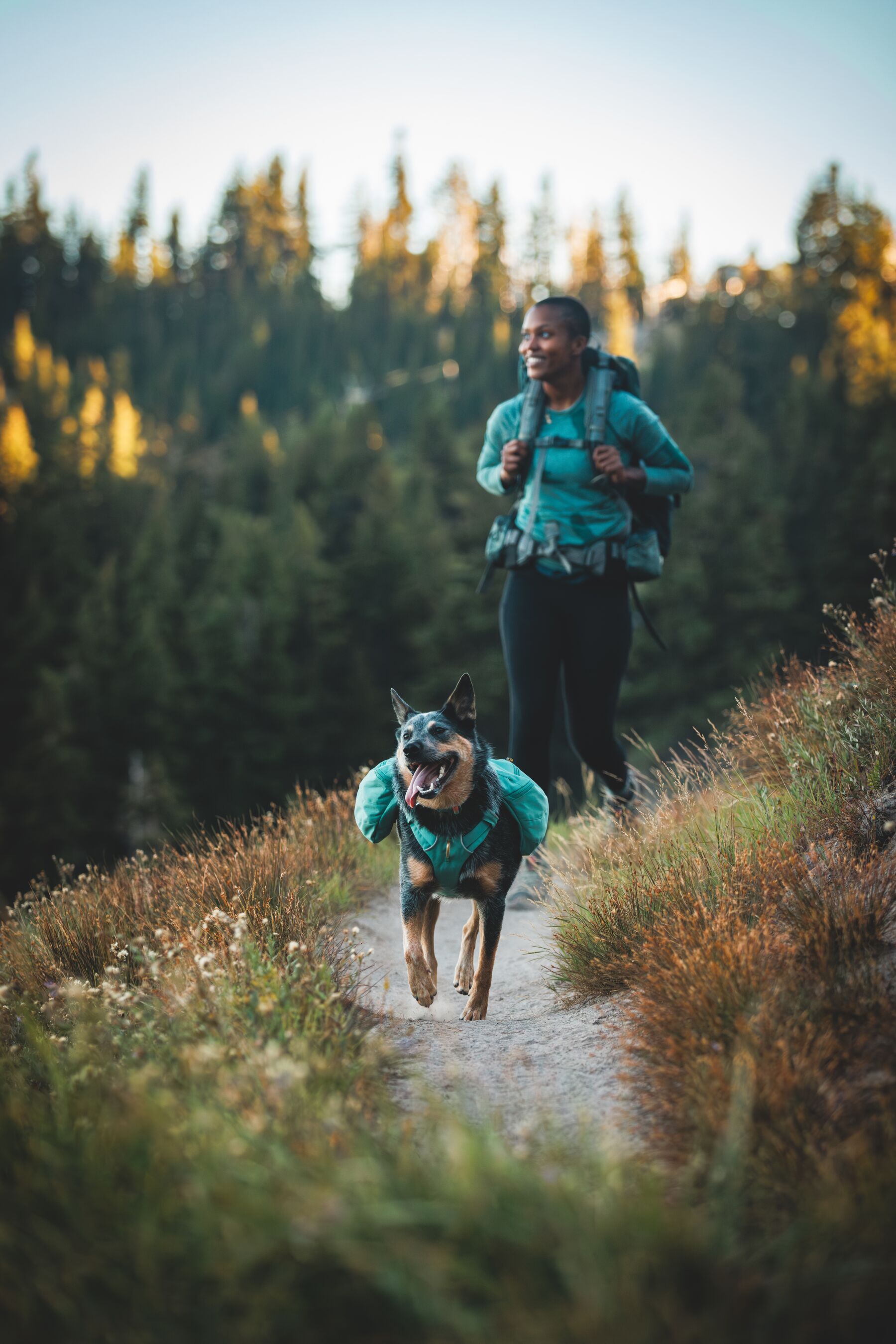 Ruffwear Front Range™ Day Pack - Basalt Gray 