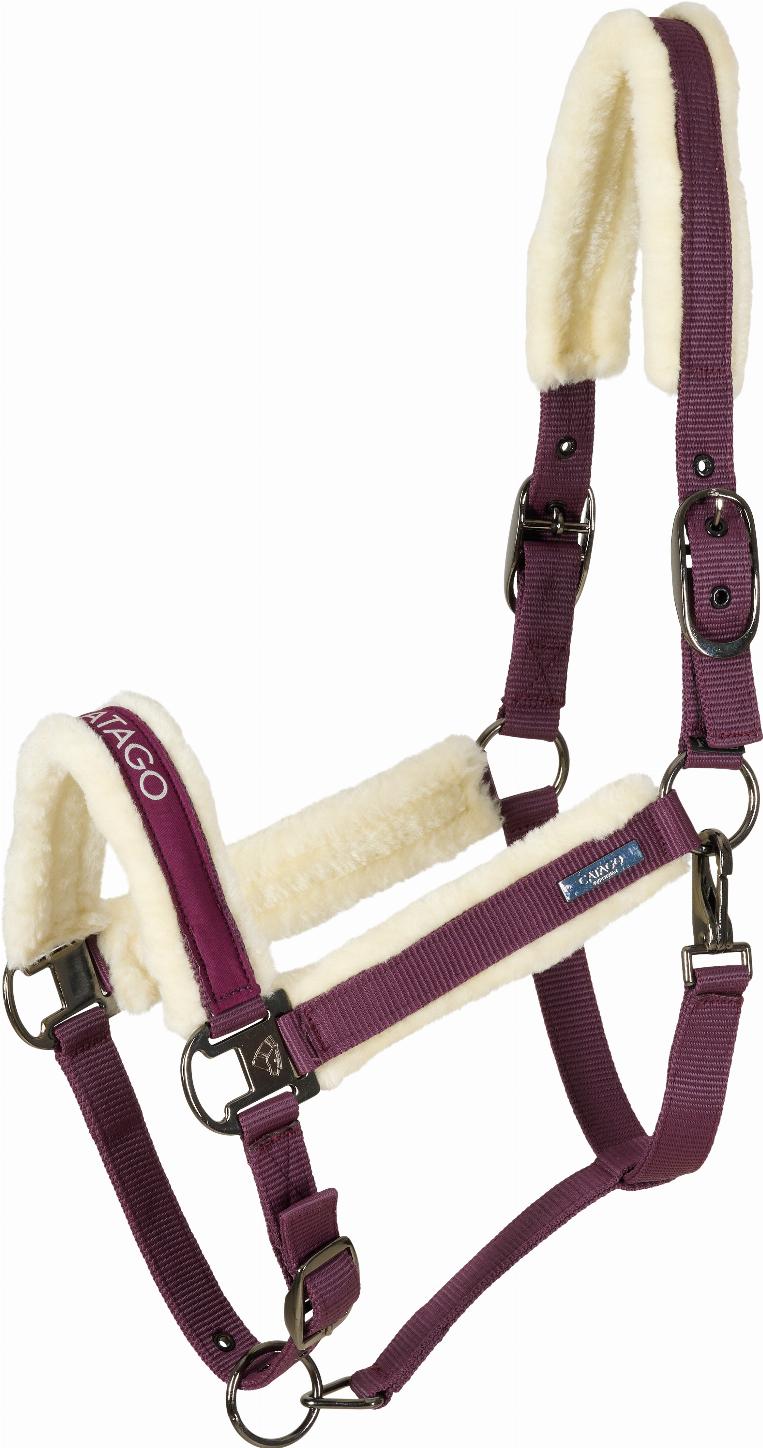 CATAGO Trace Grimma - Plum Perfect (PONY)