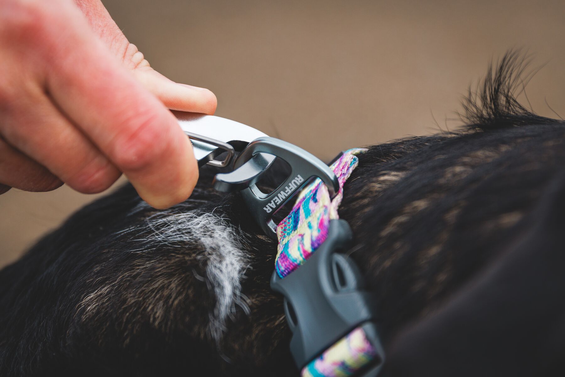 Ruffwear Front Range Dog Collar - Reef Fish - 4
