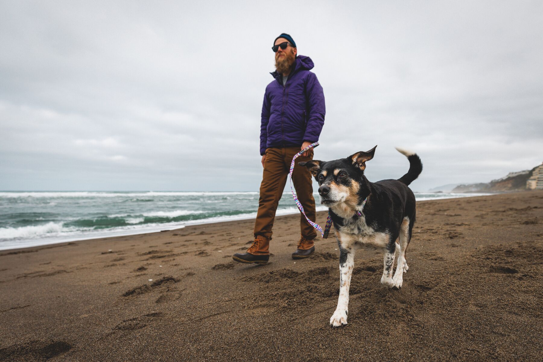 Ruffwear Front Range Dog Collar - Reef Fish - 5