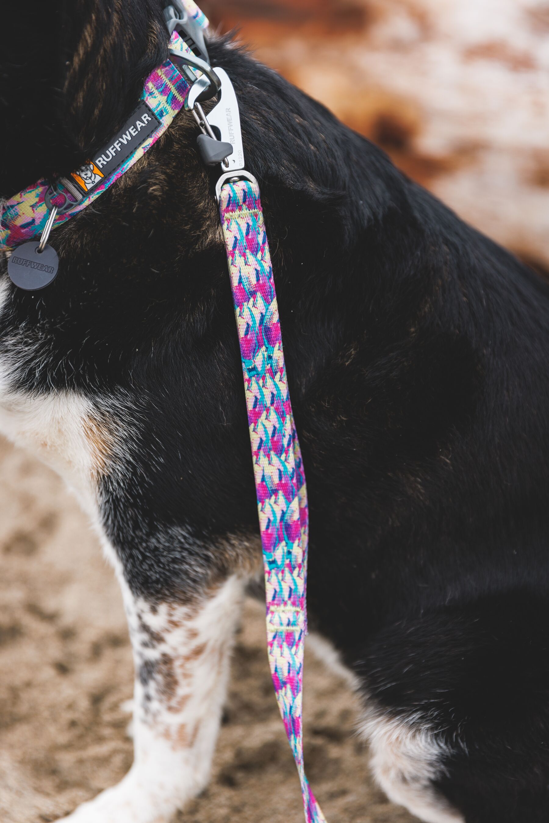 Ruffwear Front Range Dog Collar - Reef Fish - 6