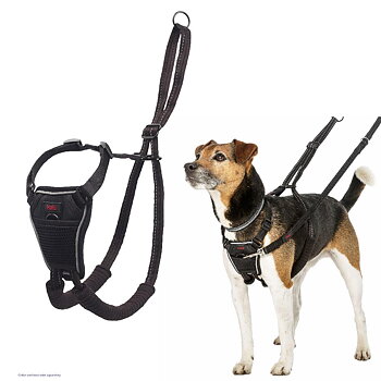 Halti No Pull Hundsele - Svart