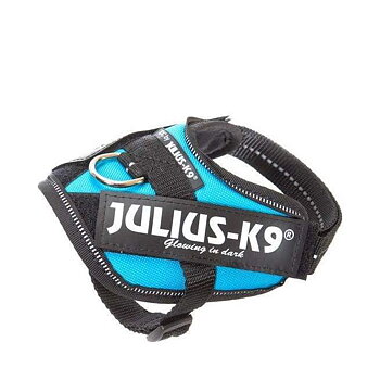 Julius-K9 IDC Harness Puppy - Aquamarine