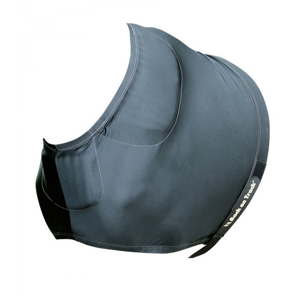 Back on Track Bogskydd (125)