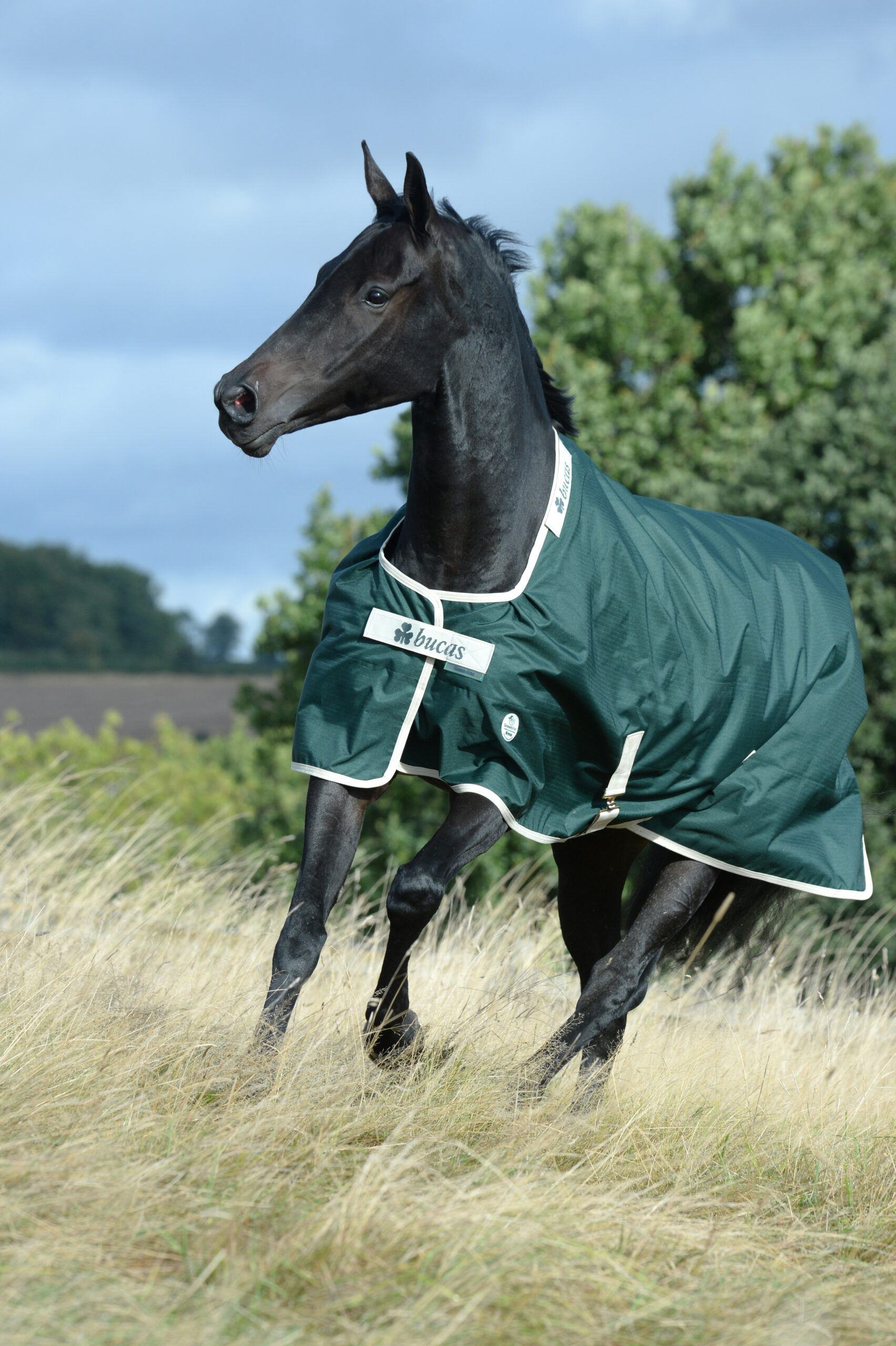 Bucas Greenline Turnout Utetäcke - 100 g