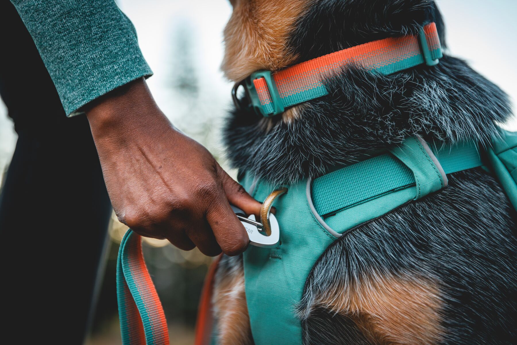 Ruffwear Front Range™ Day Pack - River Rock Green