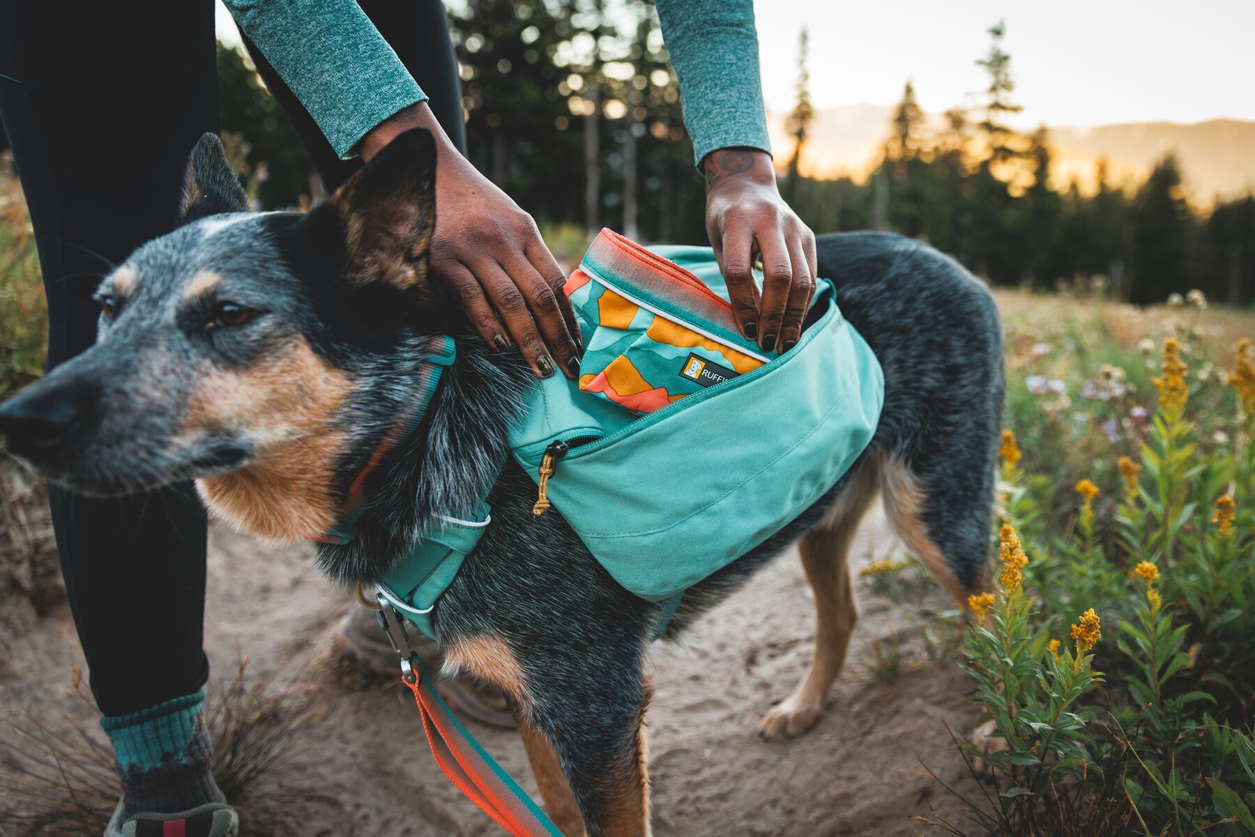 Ruffwear Front Range Day Pack River Rock Green PETSTER Norge