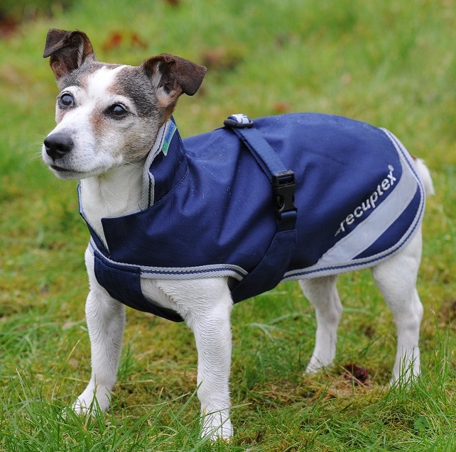 Bucas Freedom Dog Rug 50 g 35-45 cm - Navy - 2
