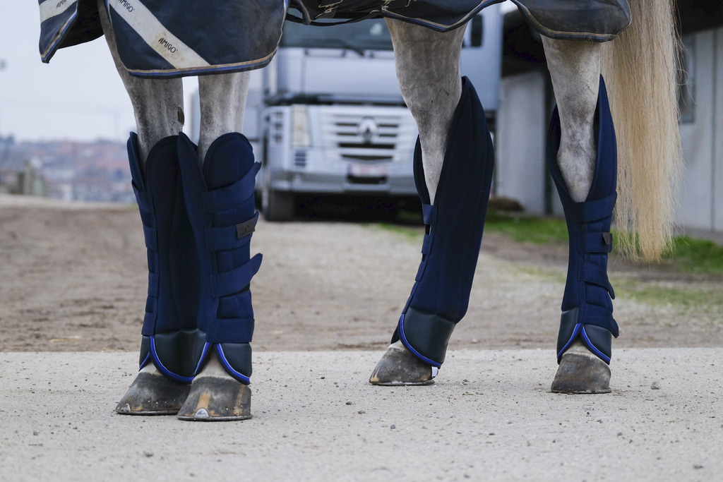 EQUITHEME 'Classic' Transportskydd Navy (Ponny)