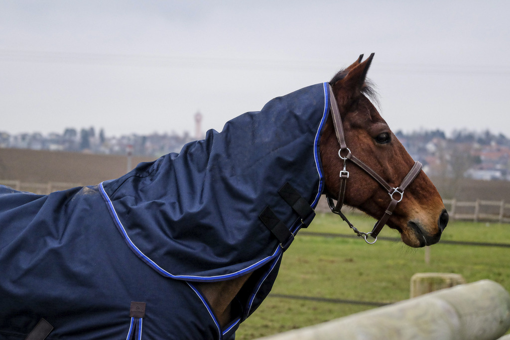 EQUITHEME 'Classic 1200D' Hals Till Hästtäcke Navy 0 g (Cob)