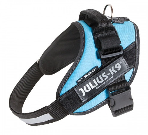 Julius-K9 IDC® Harness - Aquamarine - 5
