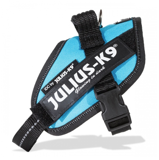 Julius-K9 IDC® Harness - Aquamarine - 4