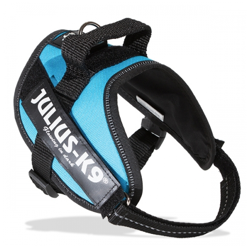 Julius-K9 IDC® Harness - Aquamarine - 3