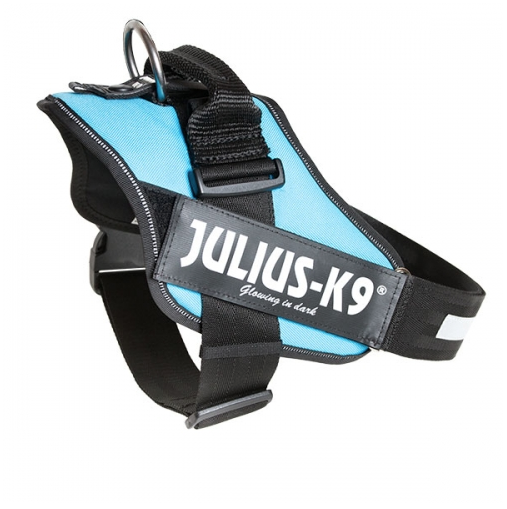Julius-K9 IDC® Harness - Aquamarine - 7