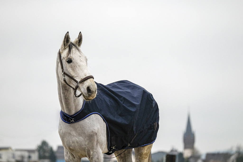 EQUITHEME 'Classic 1200D' Skrittäcke Navy
