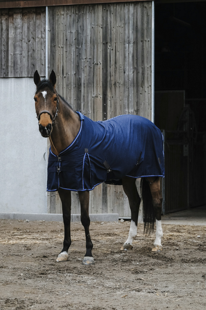 EQUITHEME 'Classic' Polycotton Hästtäcke Navy (7'0 - 165 cm)