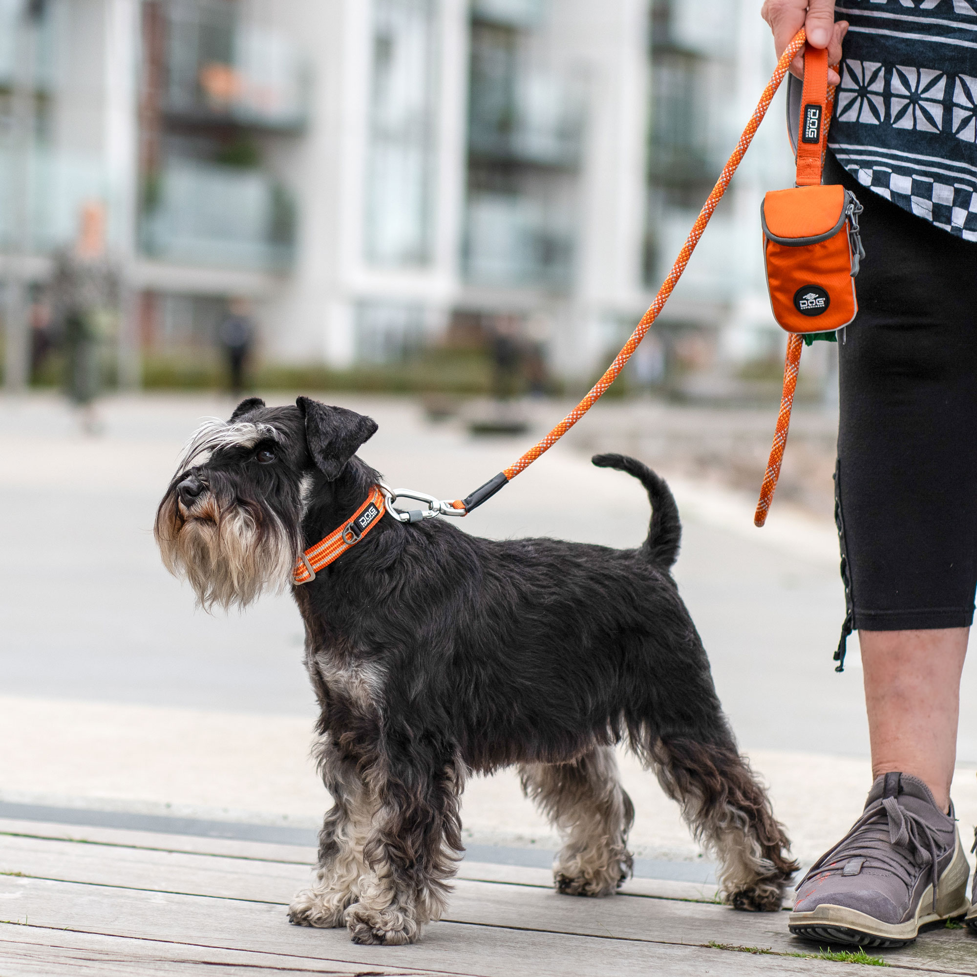 Dog Copenhagen Urban Rope Leash - Orange Sun 