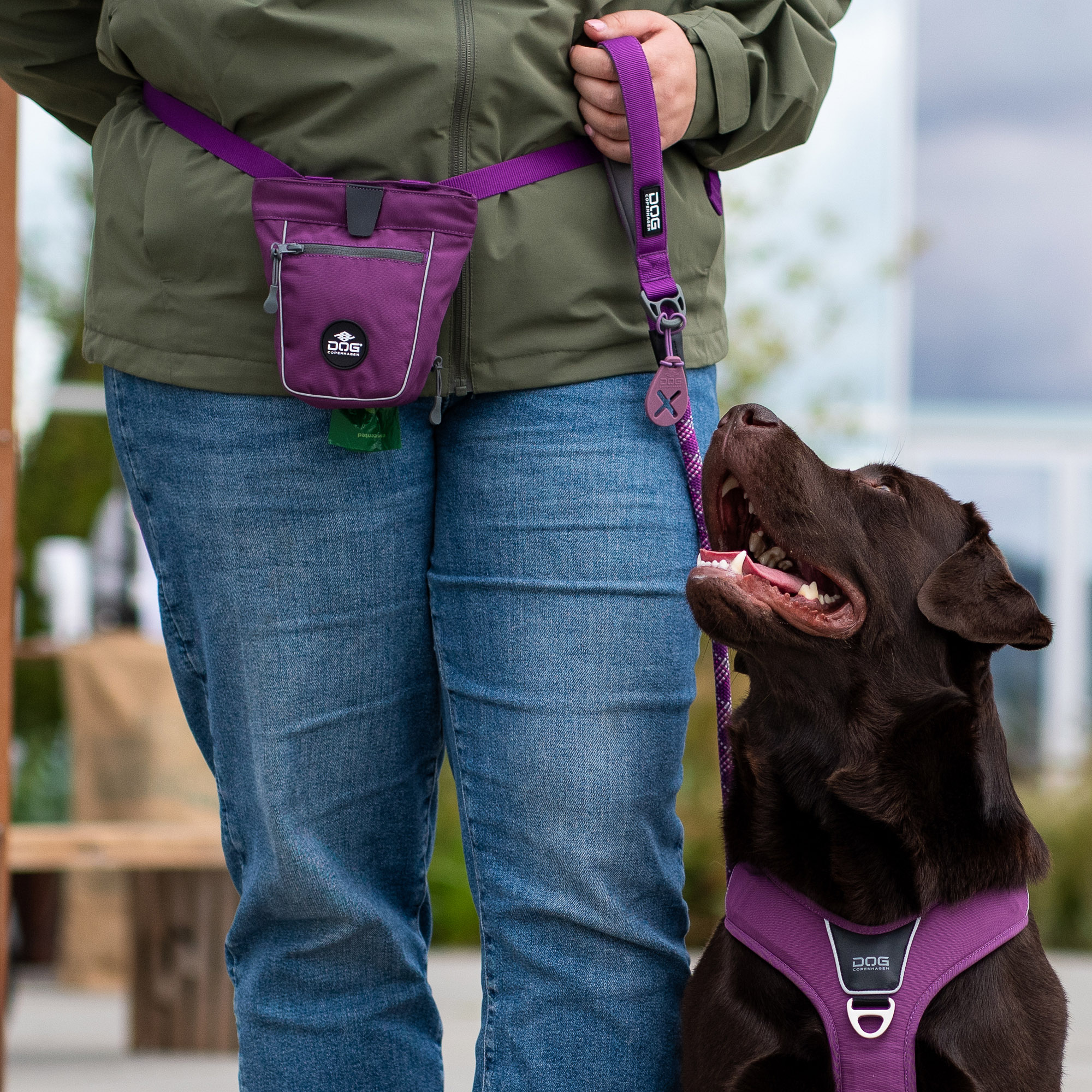 Dog Copenhagen Urban Rope Leash - Purple Passion