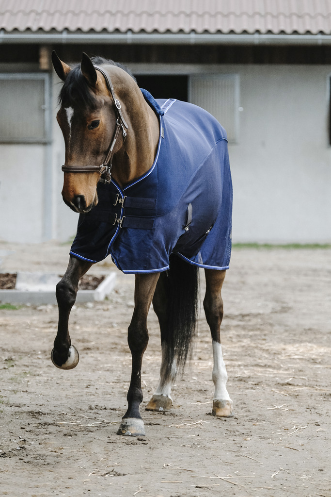 EQUITHEME 'Classic' 3D Mesh Hästtäcke Navy (5'9 - 125 cm)