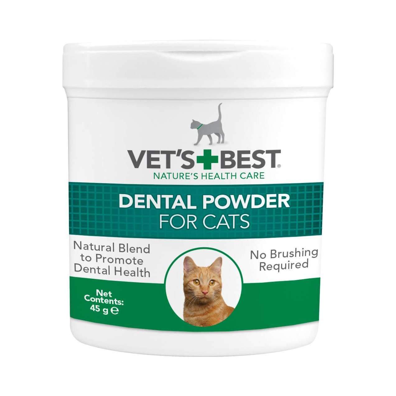 Best dental shop cat food