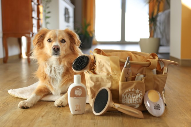 MagicBrush Dog Schampoo For Light Fur - 200 ml 