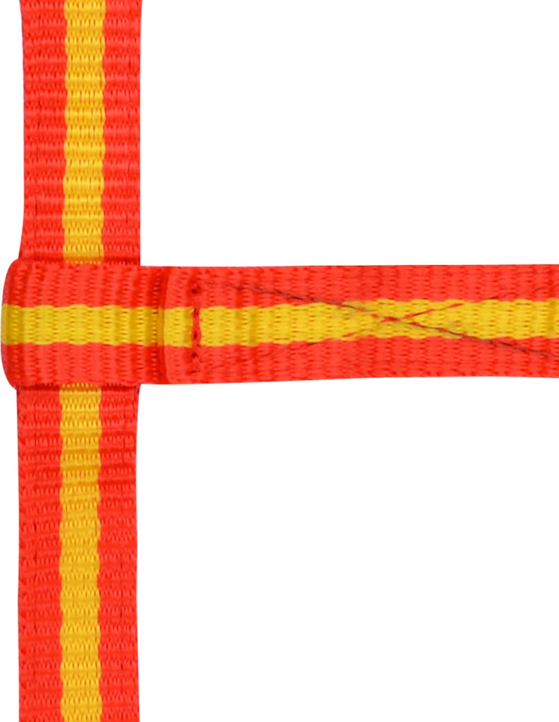 NORTON Adjustable Foal Headcollar Red/Yellow/Red - 2