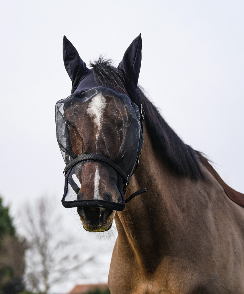 EQUITHEME Halter + Fly Mask anti-UV protection Black - 2