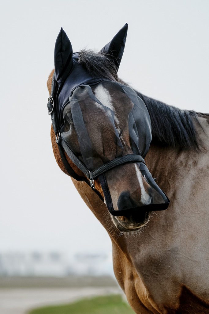 EQUITHEME Halter + Fly Mask anti-UV protection Black - 6