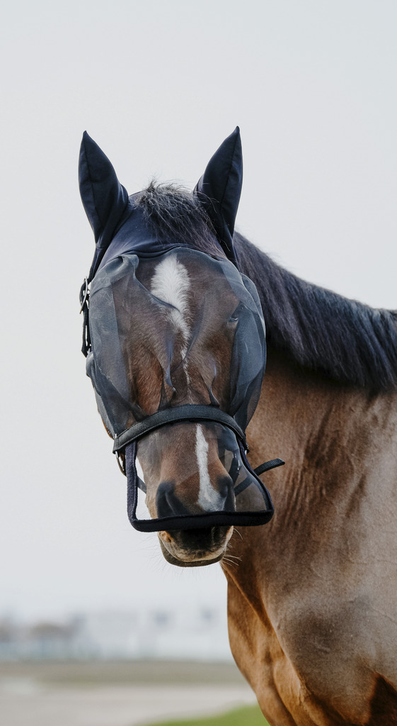 EQUITHEME Halter + Fly Mask anti-UV protection Black - 7