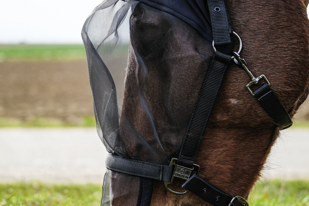 EQUITHEME Halter + Fly Mask anti-UV protection Black - 3