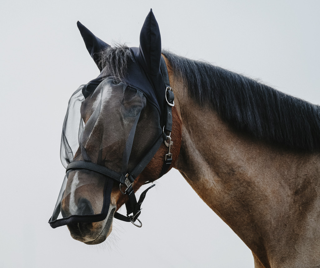 EQUITHEME Halter + Fly Mask anti-UV protection Black - 5