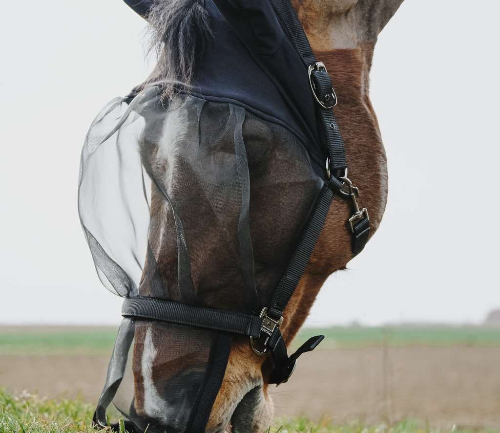EQUITHEME Halter + Fly Mask anti-UV protection Black - 4