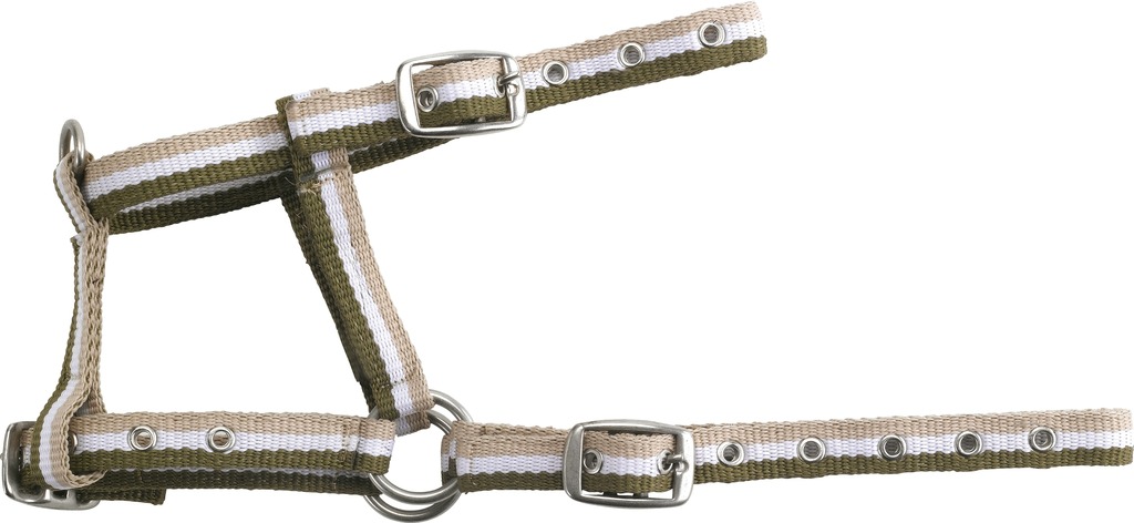 NORTON Säädettävä Varsariimu Khaki/Valkoinen/Beige