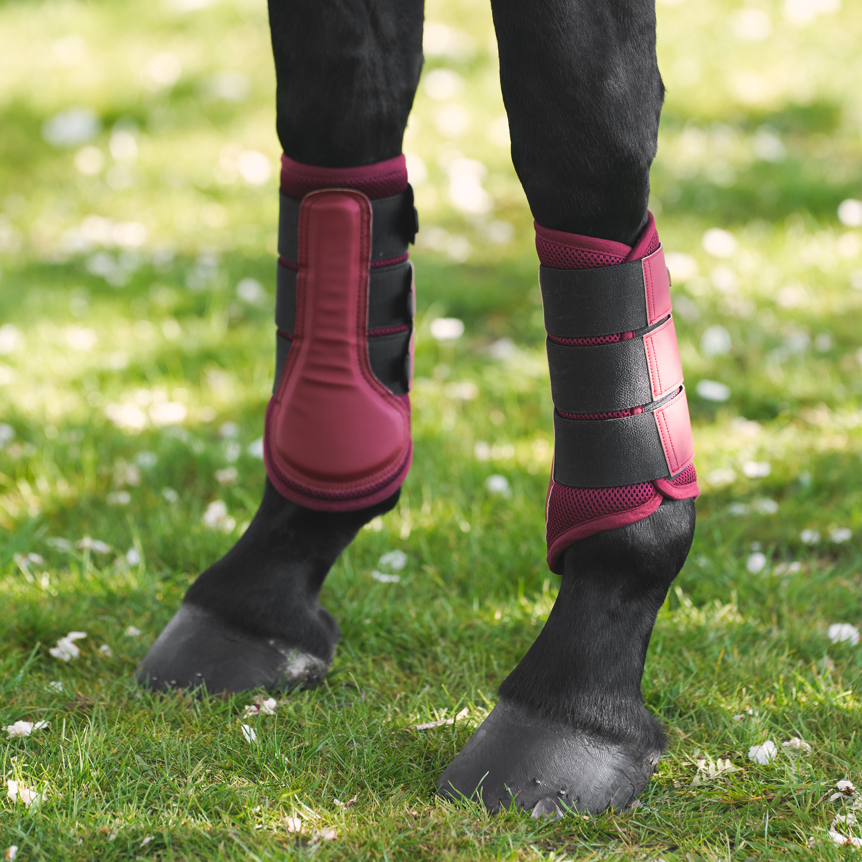 Imperial Riding Brushing boots Cloud Dancer - Fig - 2