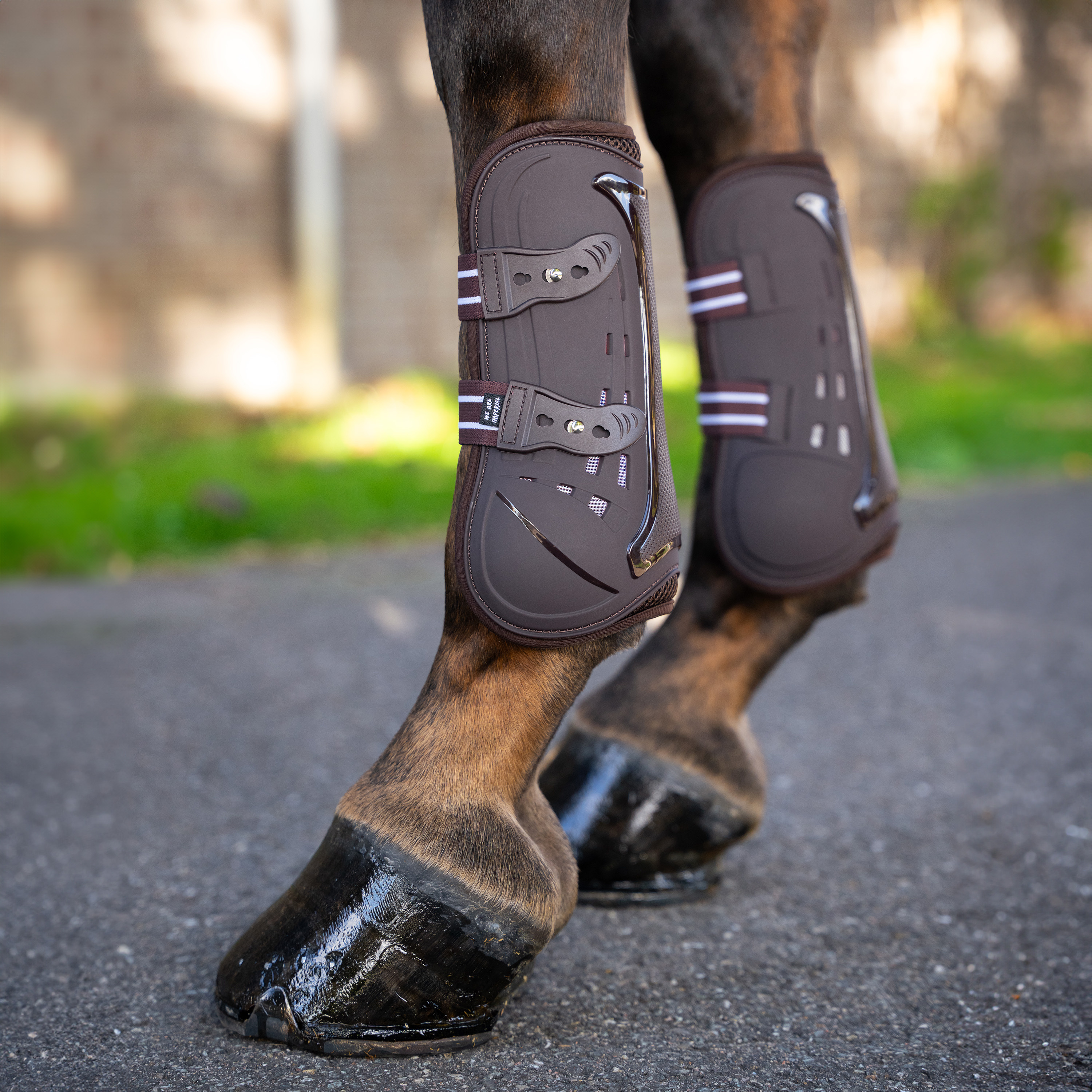 Imperial Riding Tendon boots Pro mesh - Chocolate - 2
