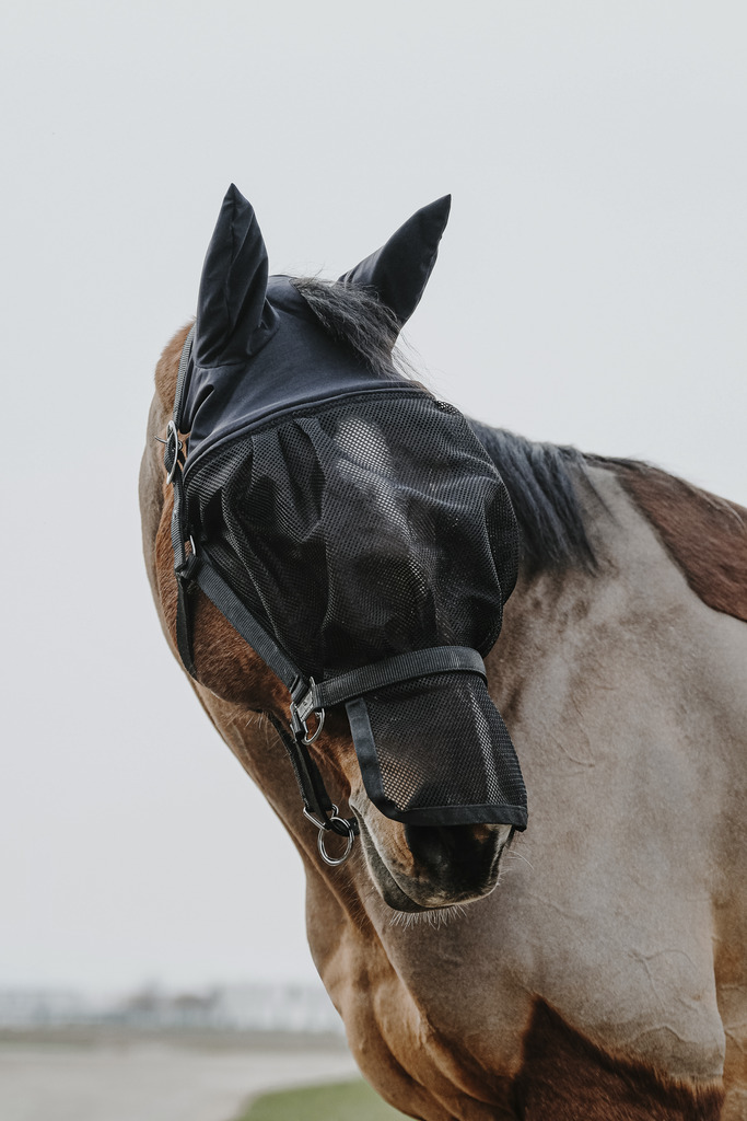 EQUITHEME Halter + Fly Mask Black - 4