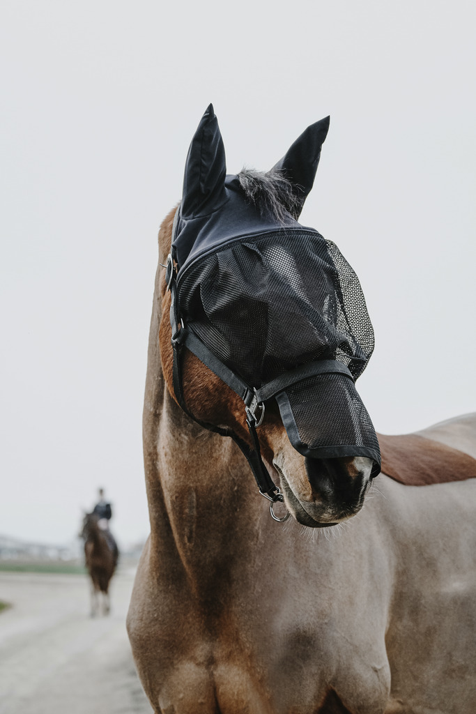 EQUITHEME Halter + Fly Mask Black - 2